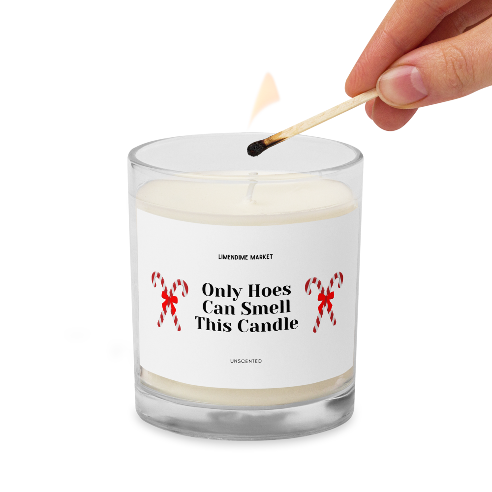 Only Hoes Can Smell This Candle Soy Wax Cotton Wick Unscented Glass Jar Candle Birthday Anniversary Christmas New Years Funny Gift for Her Him