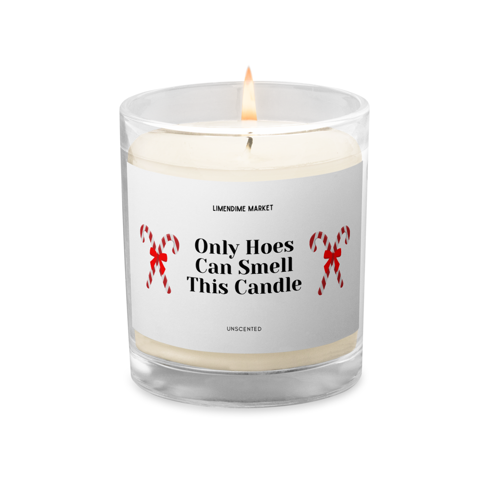 Only Hoes Can Smell This Candle Soy Wax Cotton Wick Unscented Glass Jar Candle Birthday Anniversary Christmas New Years Funny Gift for Her Him